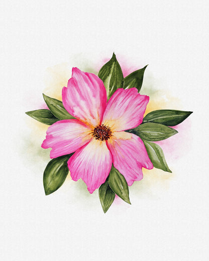 Pink Peony Bloom No2