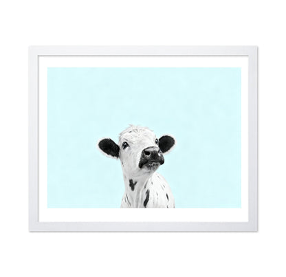 Curious Baby Cow