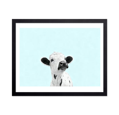 Curious Baby Cow