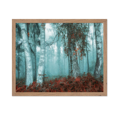 Misty Birch Forest No2