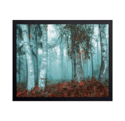 Misty Birch Forest No2