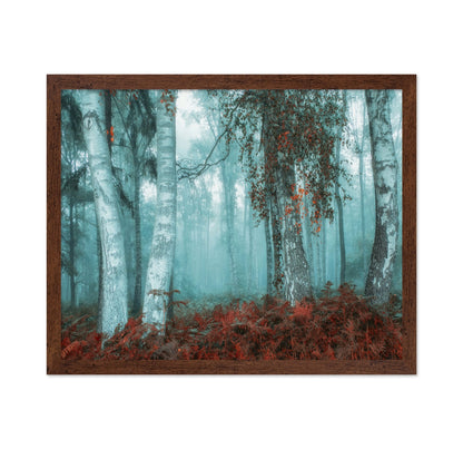 Misty Birch Forest No2
