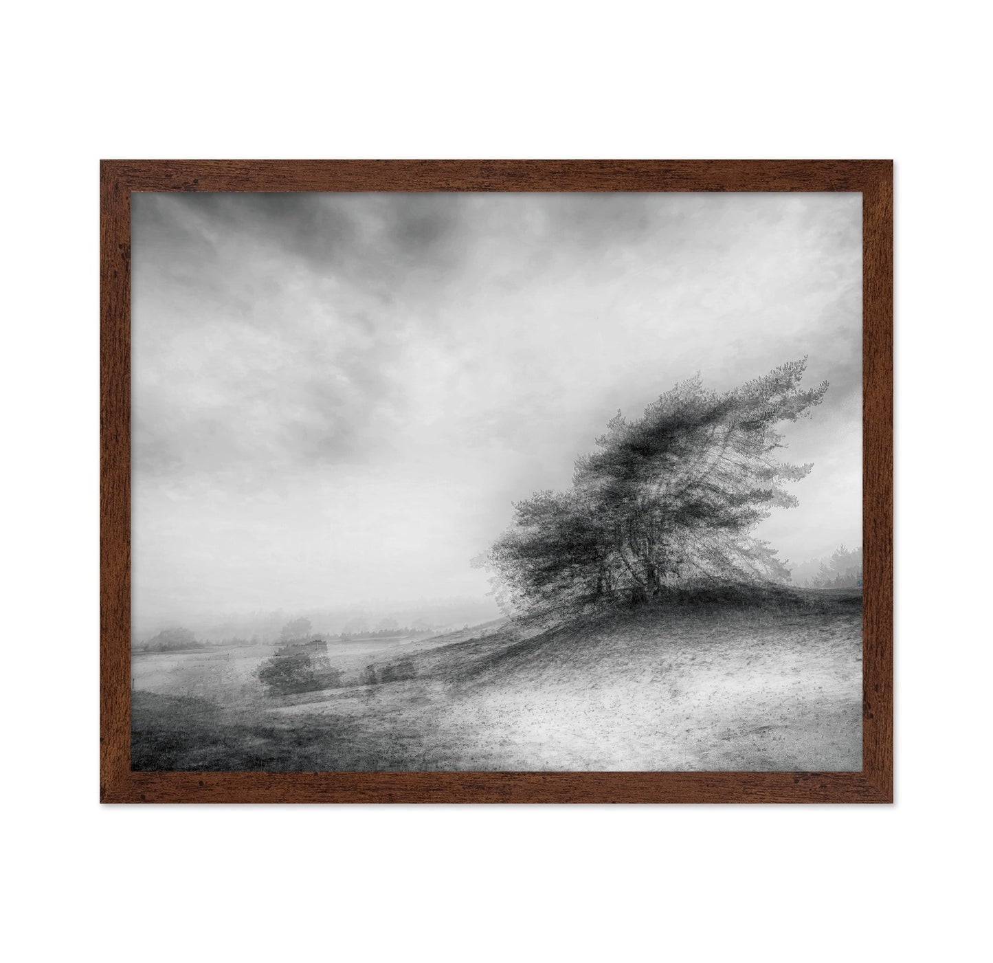 Windswept Heath Trees