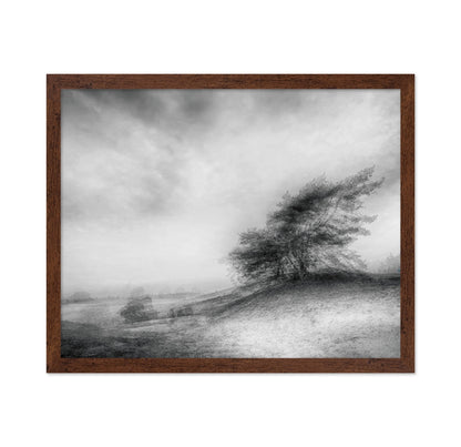 Windswept Heath Trees