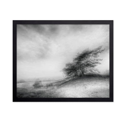 Windswept Heath Trees