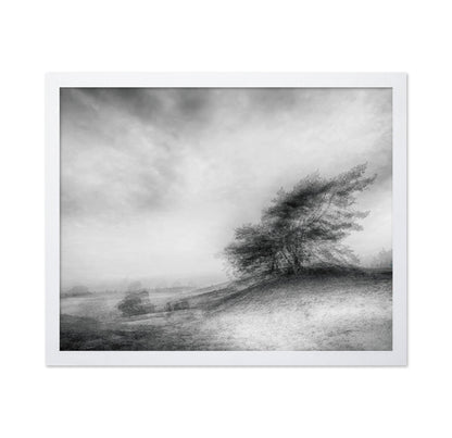 Windswept Heath Trees