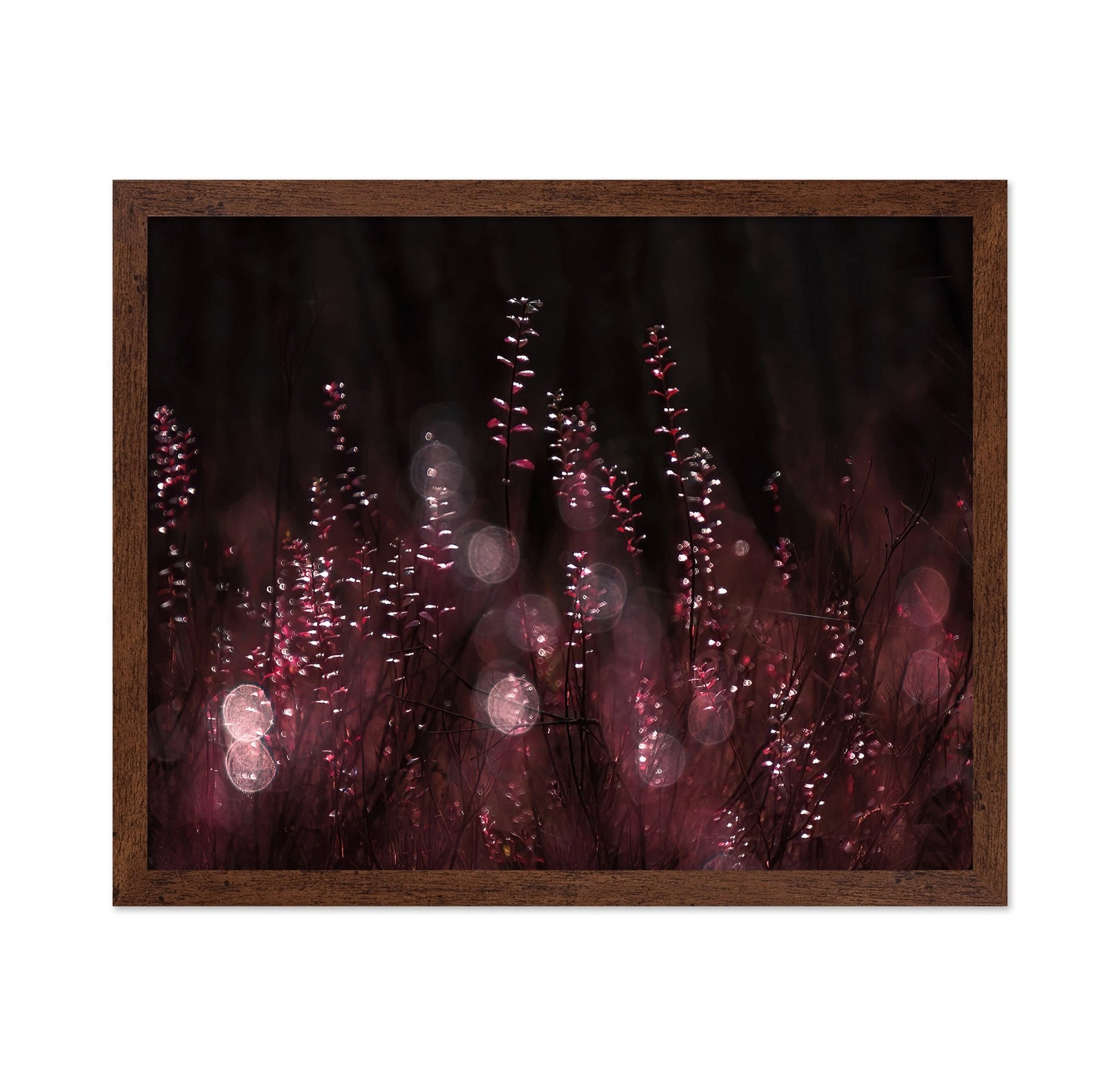 Crimson Light Reflections