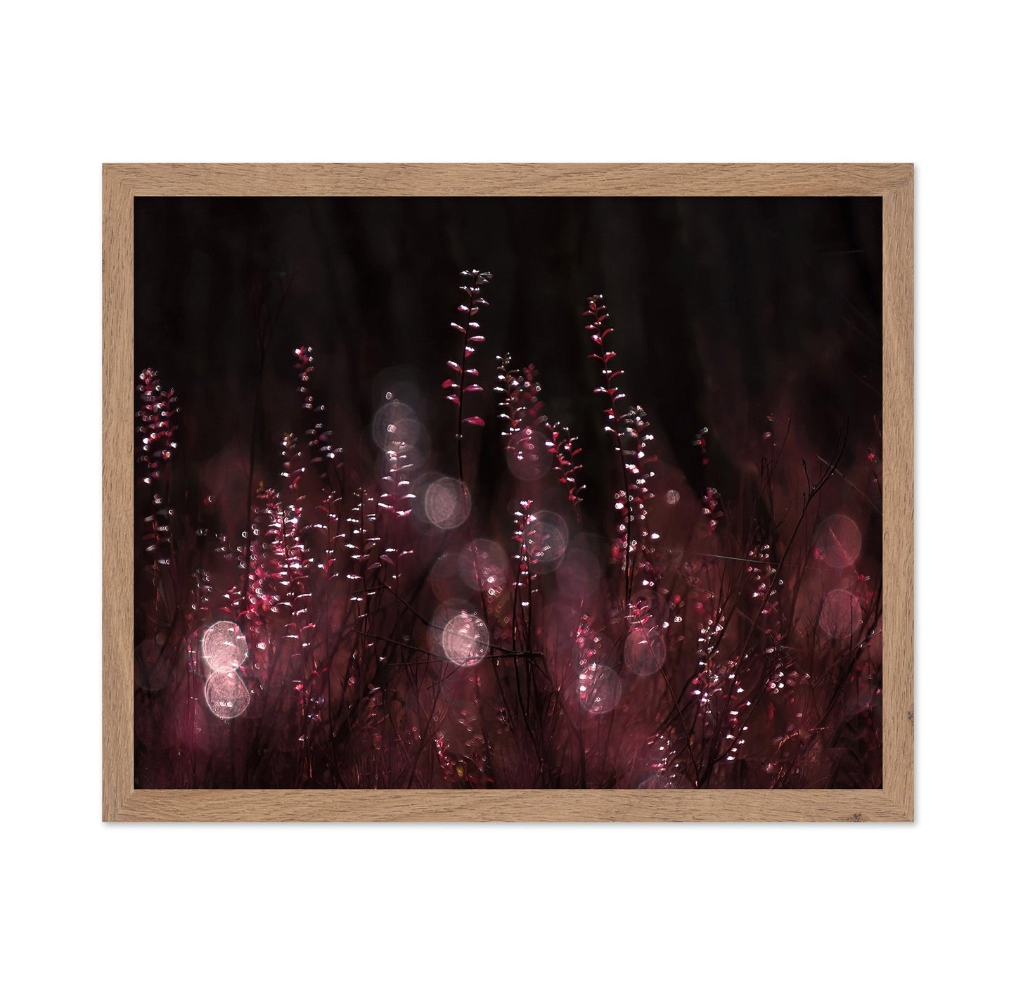 Crimson Light Reflections