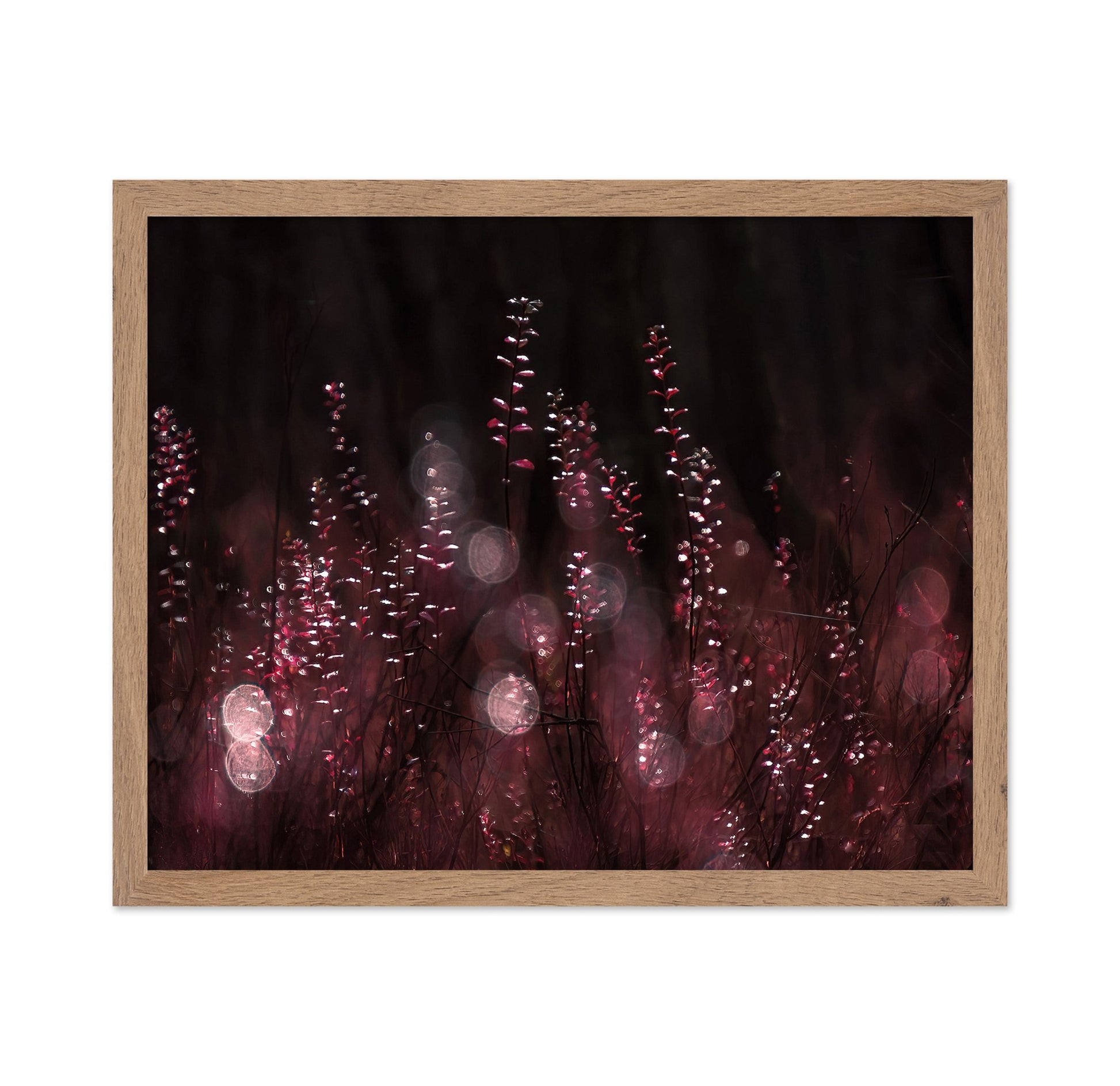 Crimson Light Reflections