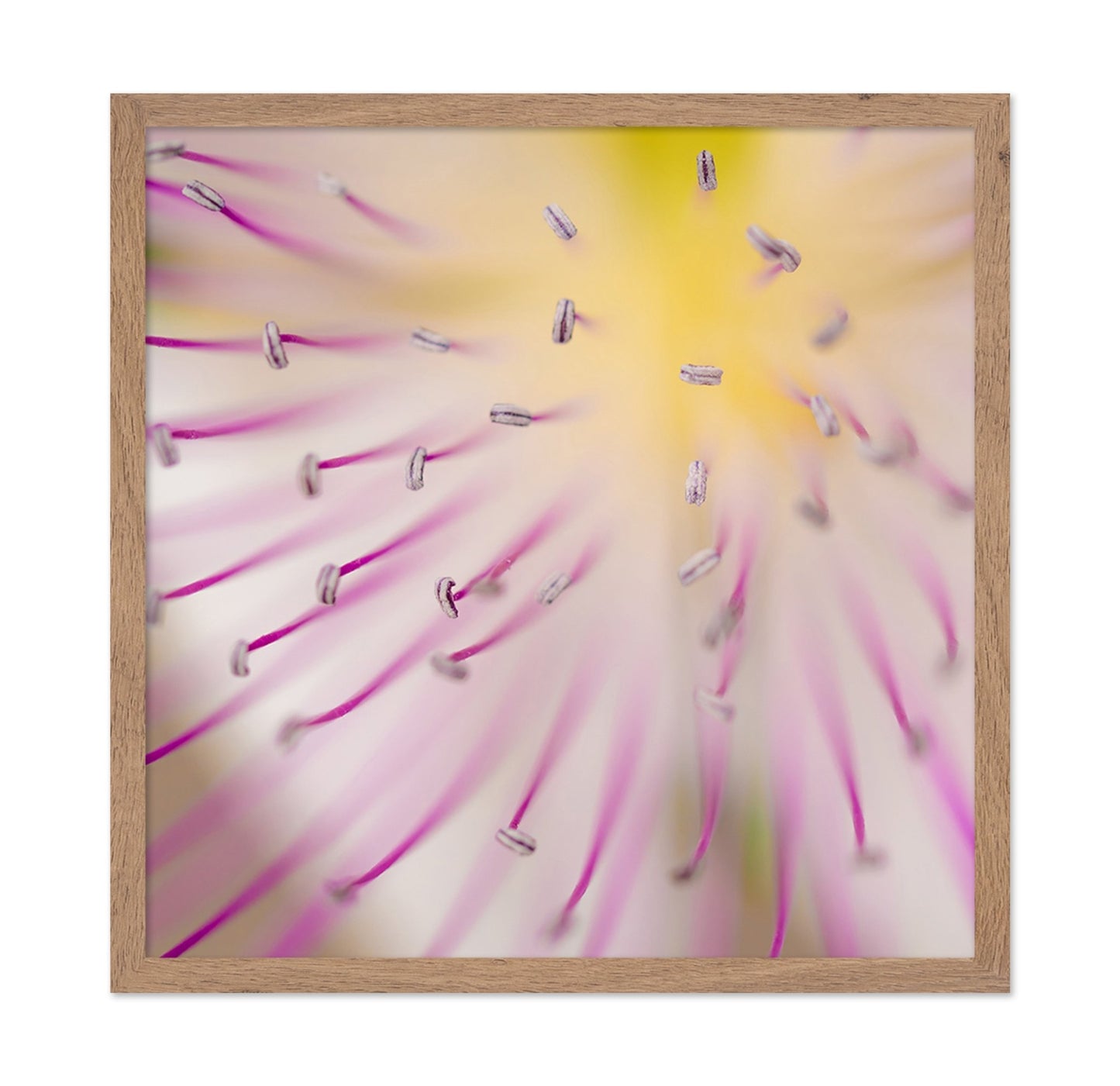 Floral Core Macro