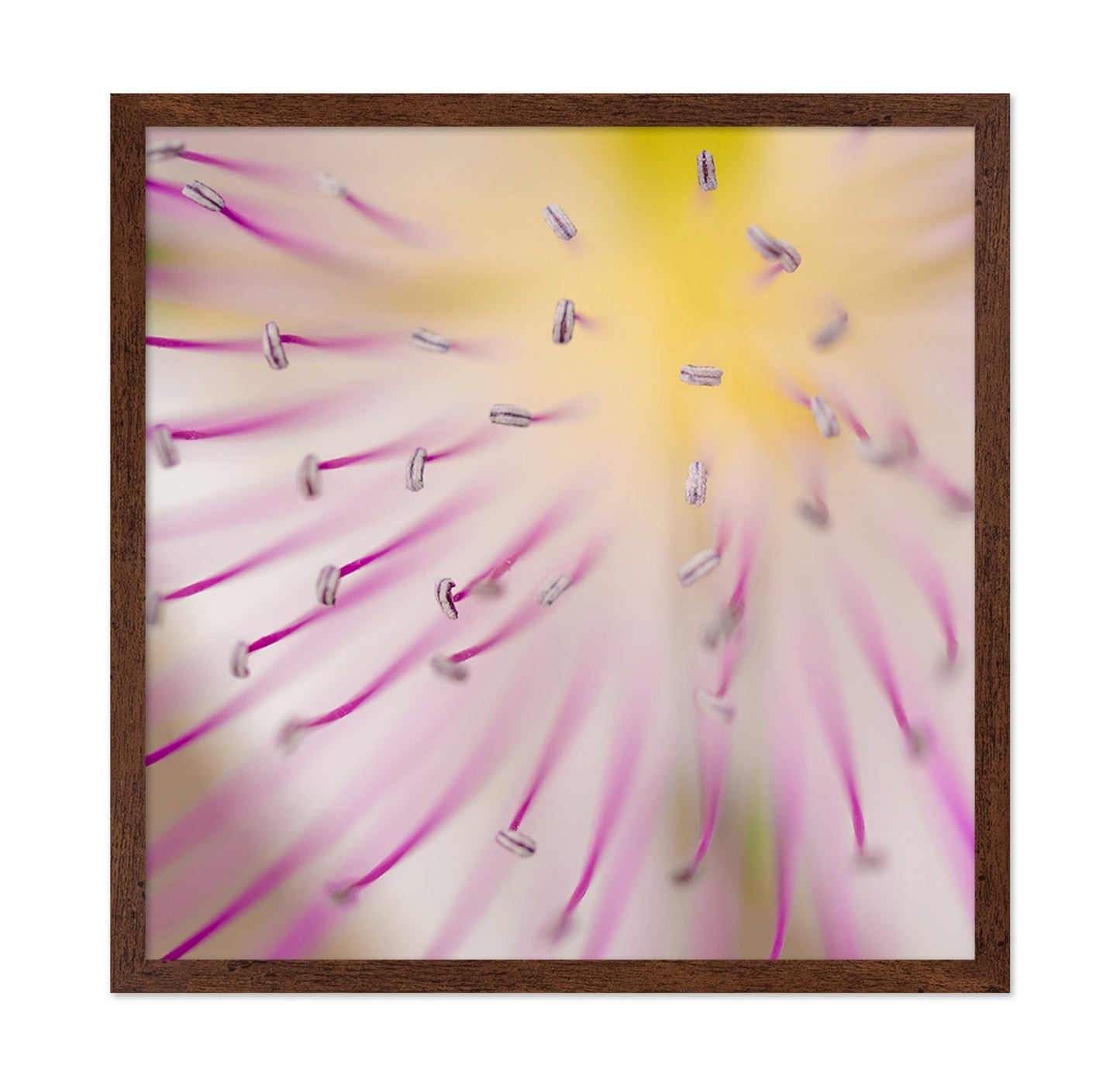 Floral Core Macro