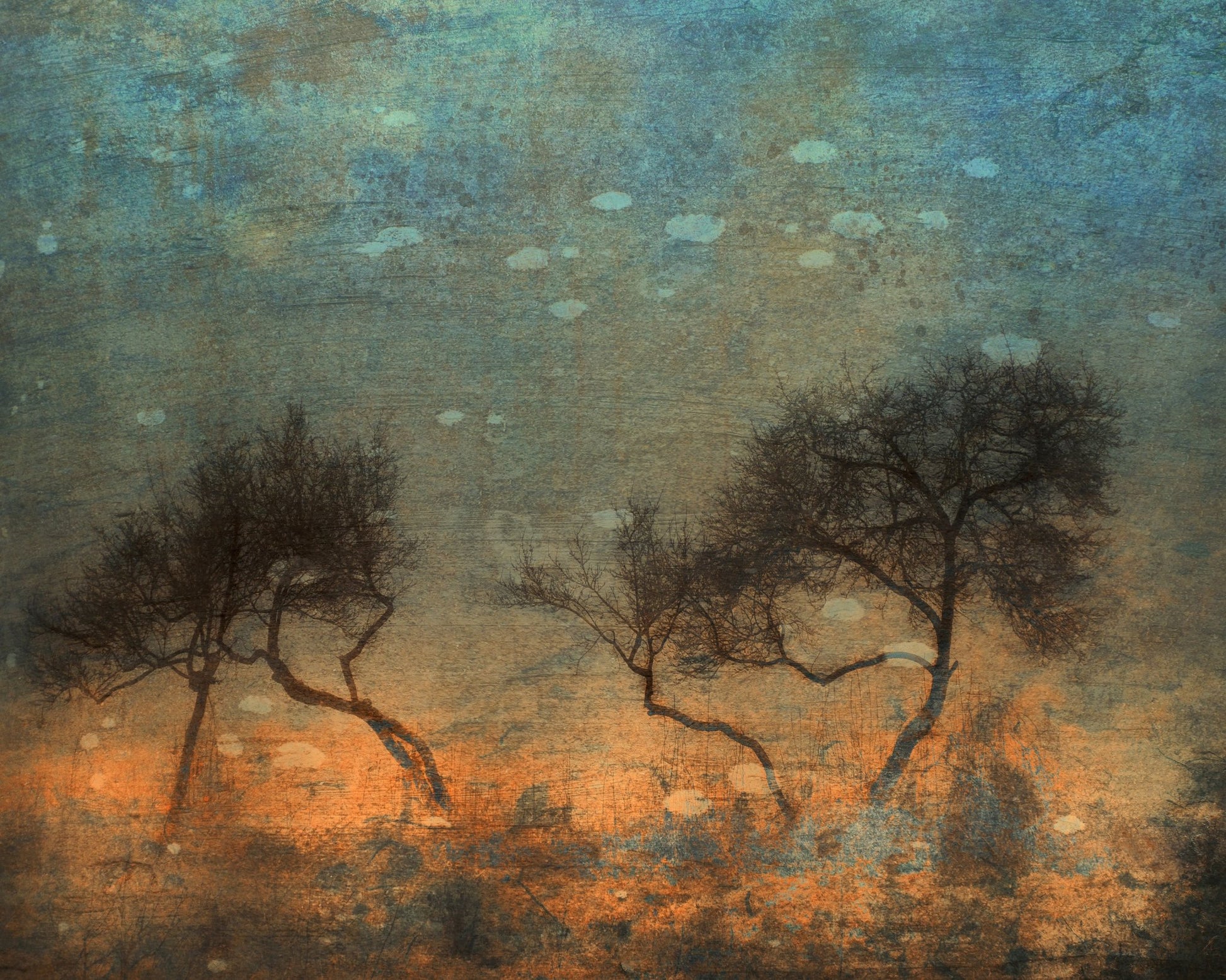 Twin Trees Dreamscape