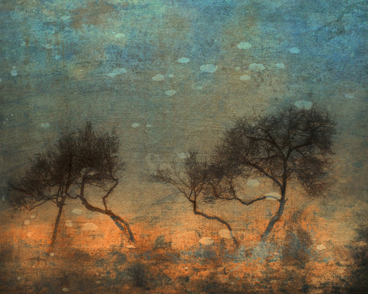 Twin Trees Dreamscape