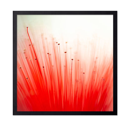 Radiant Red Bloom Abstract
