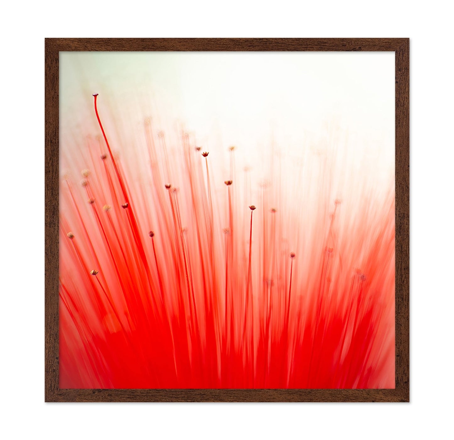 Radiant Red Bloom Abstract