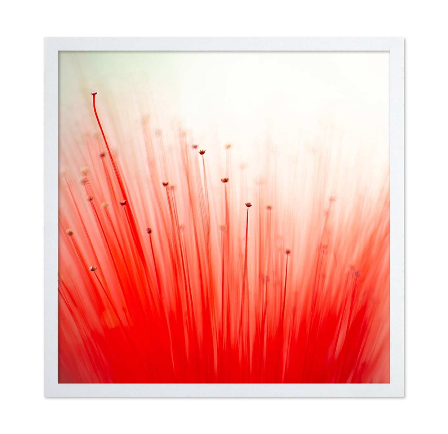 Radiant Red Bloom Abstract