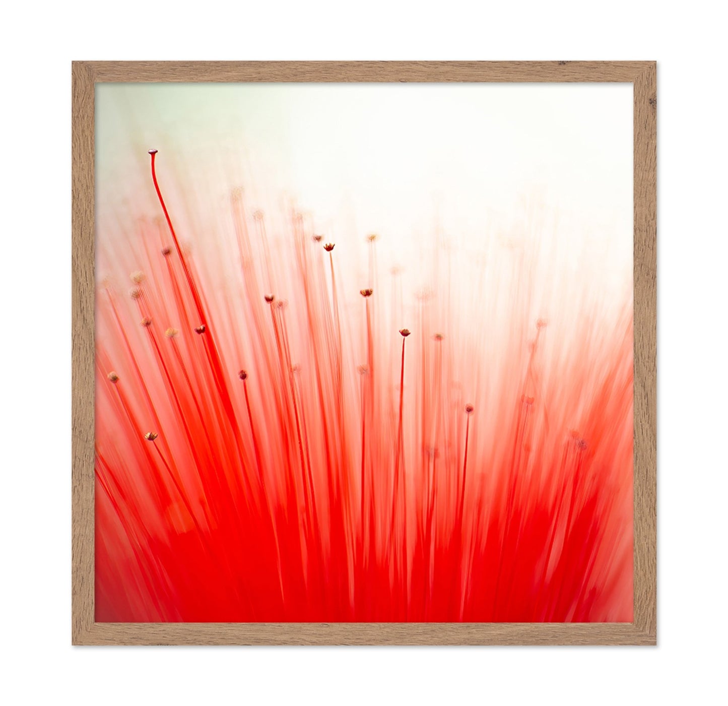 Radiant Red Bloom Abstract