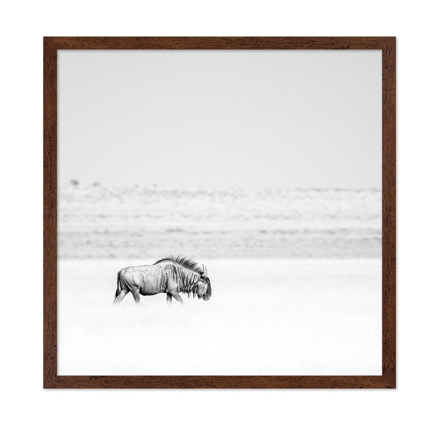Lone Wildebeest