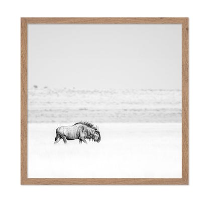 Lone Wildebeest