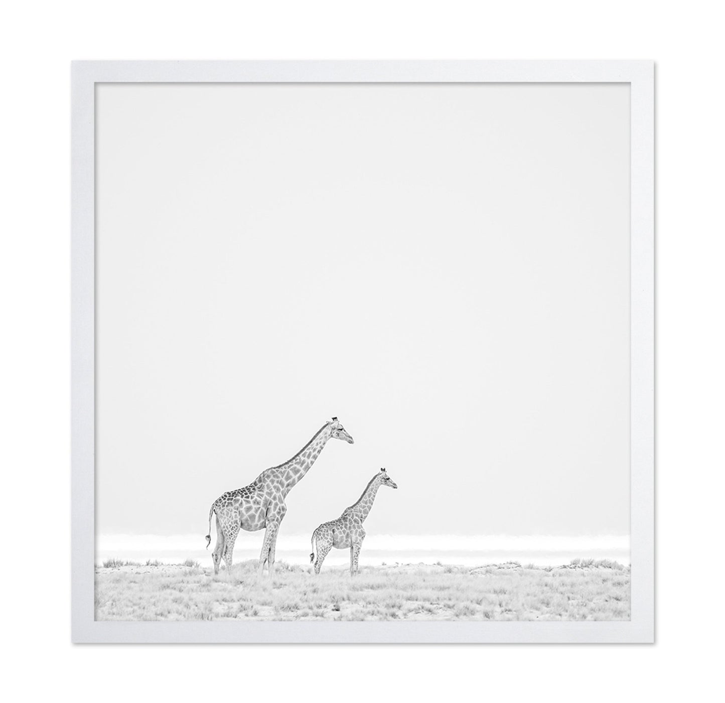 Giraffe Pair