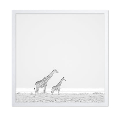 Giraffe Pair