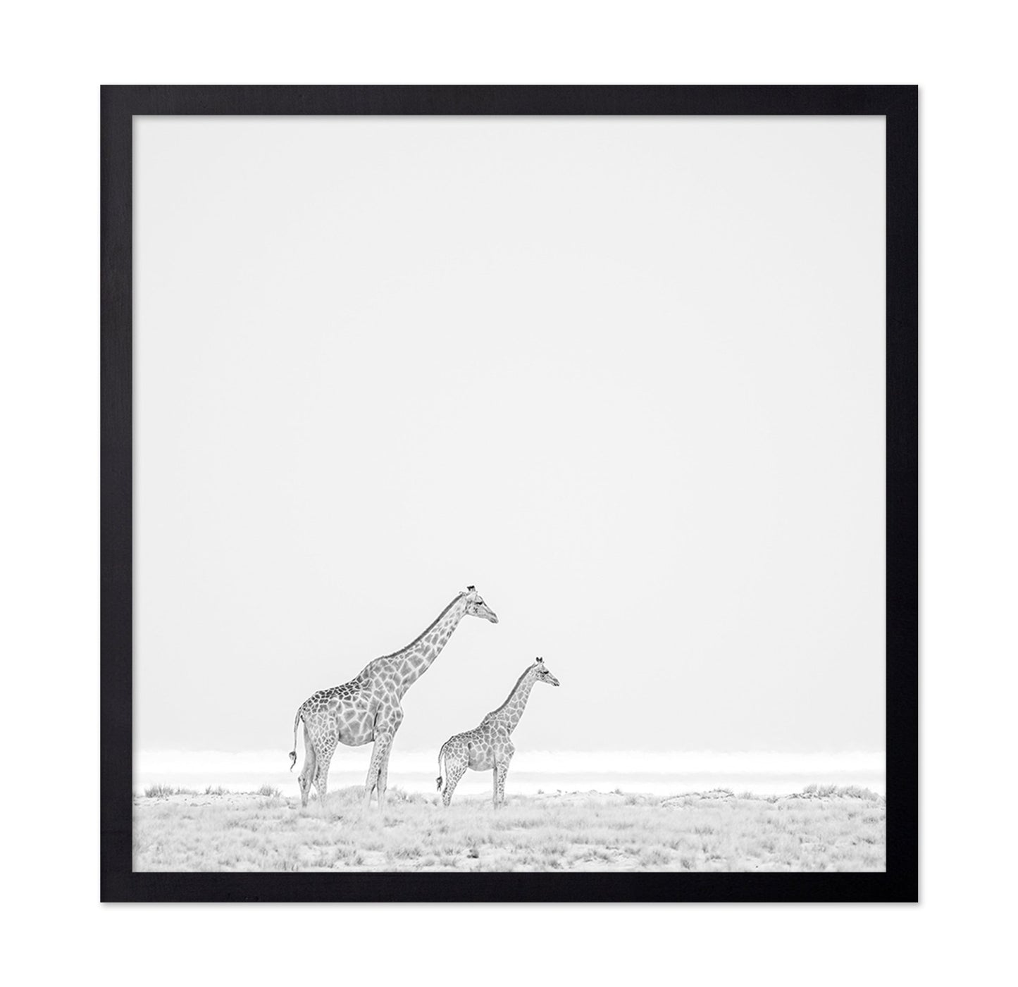 Giraffe Pair