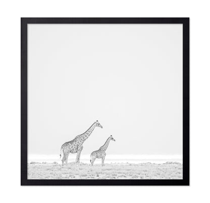 Giraffe Pair