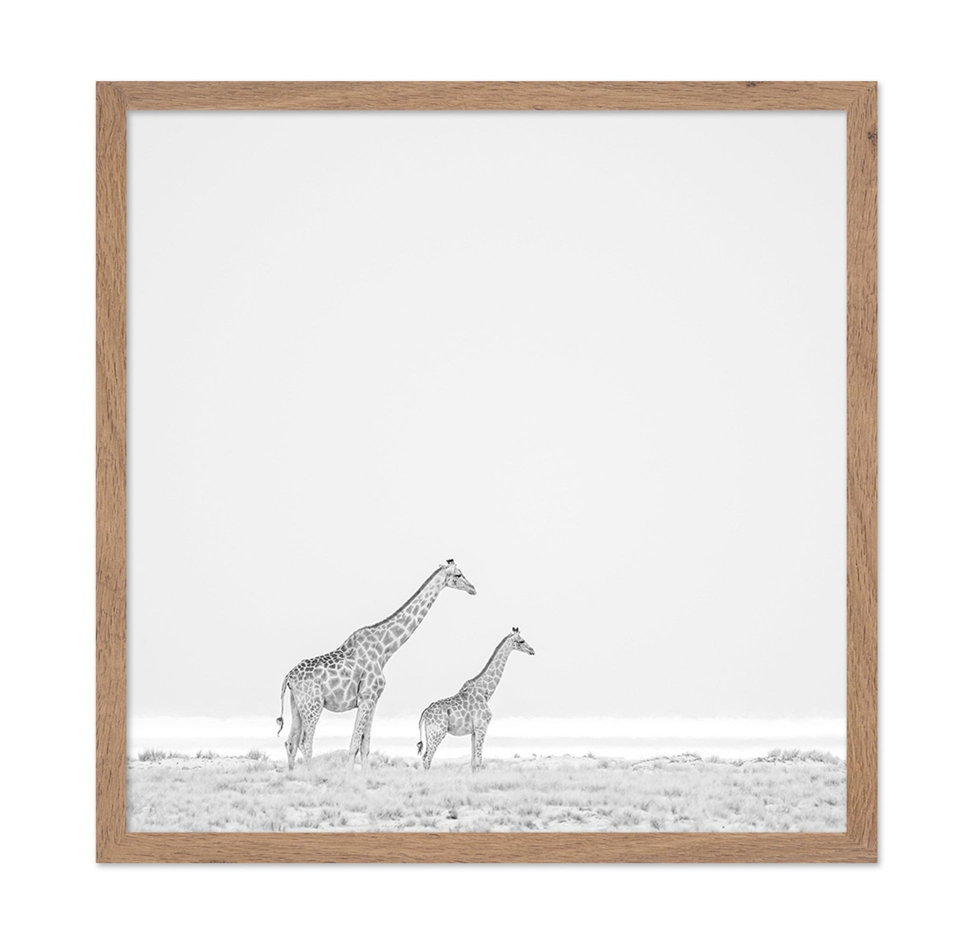 Giraffe Pair
