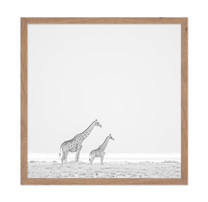Giraffe Pair
