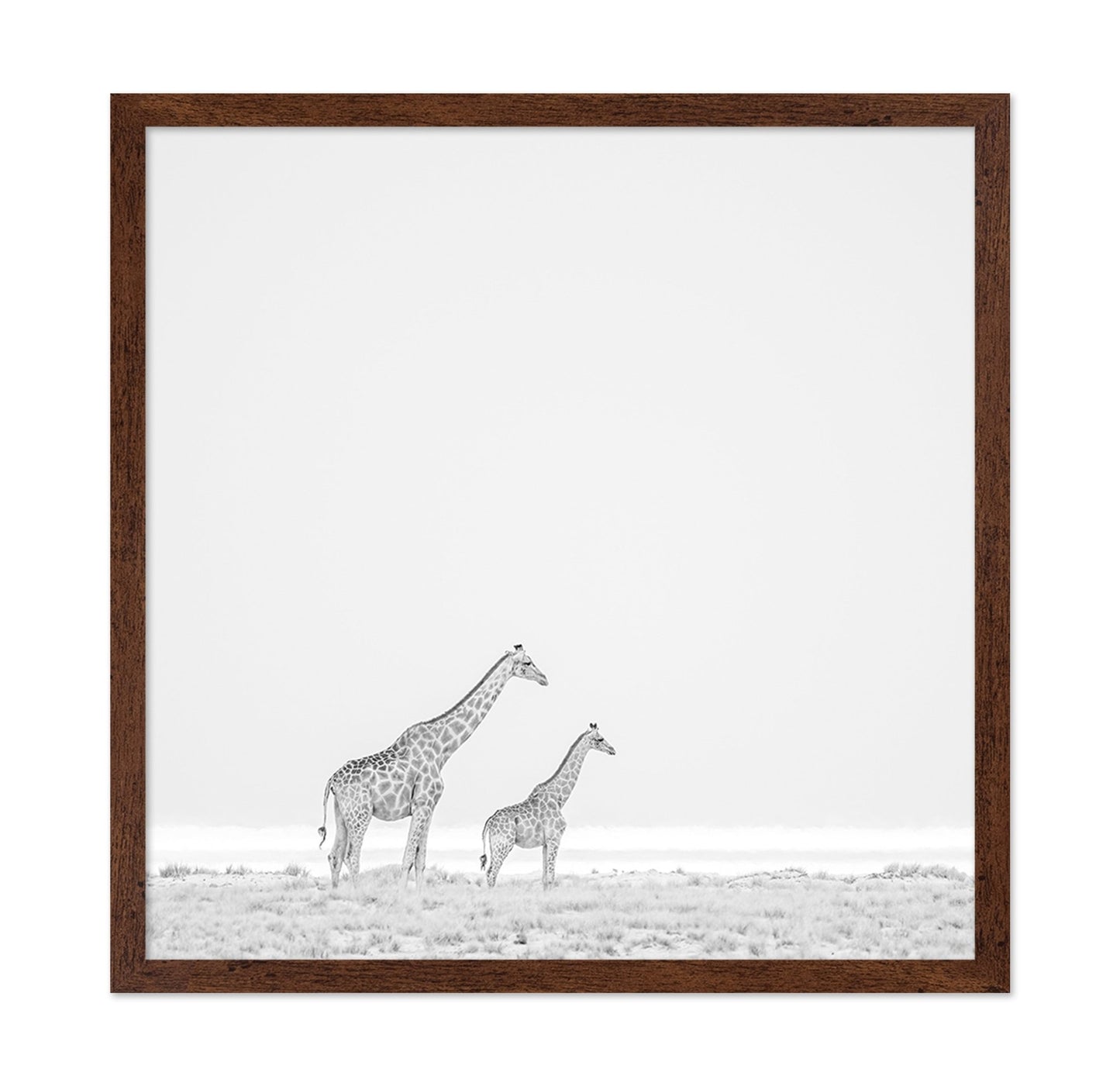 Giraffe Pair
