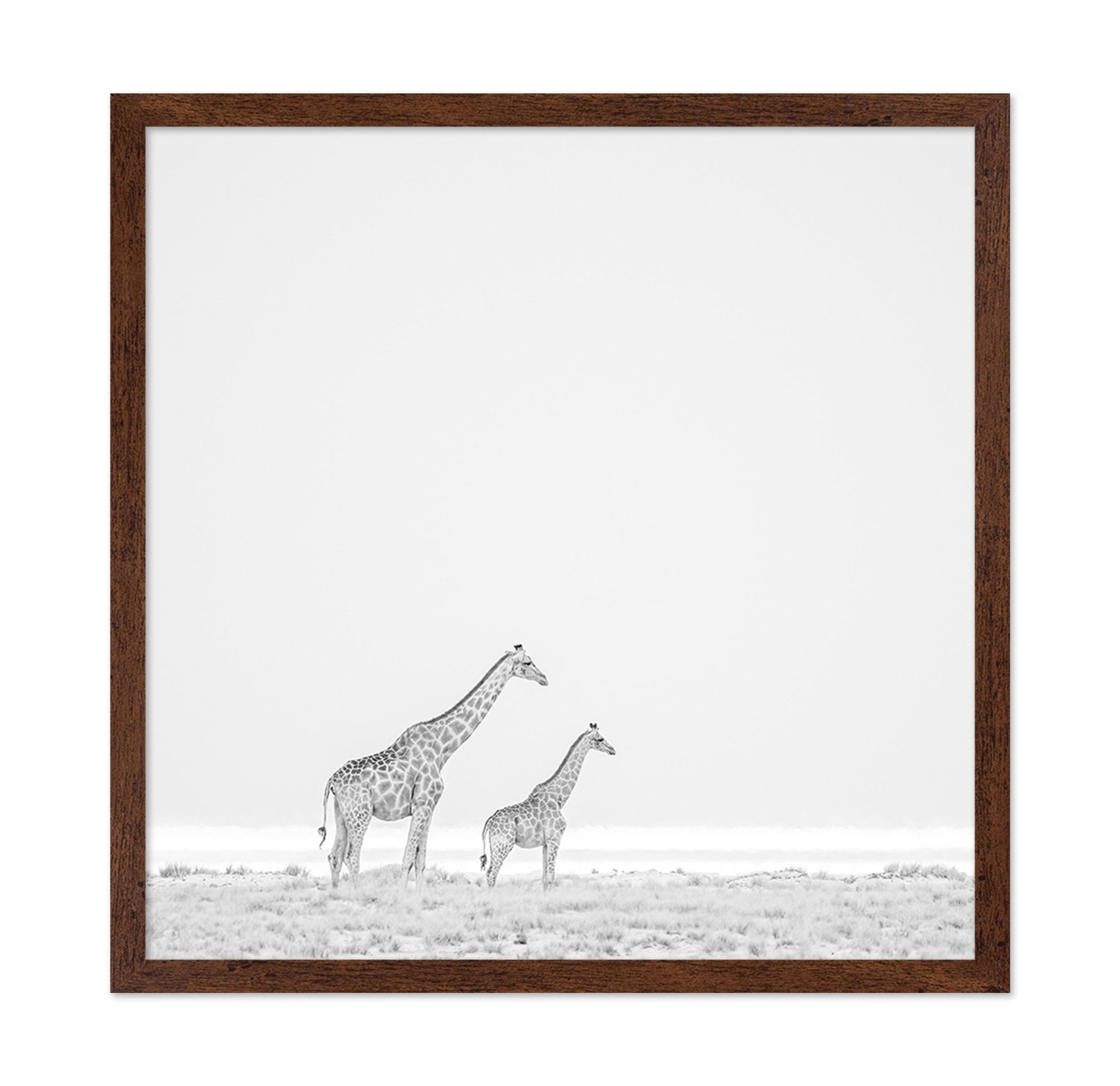Giraffe Pair