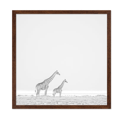 Giraffe Pair