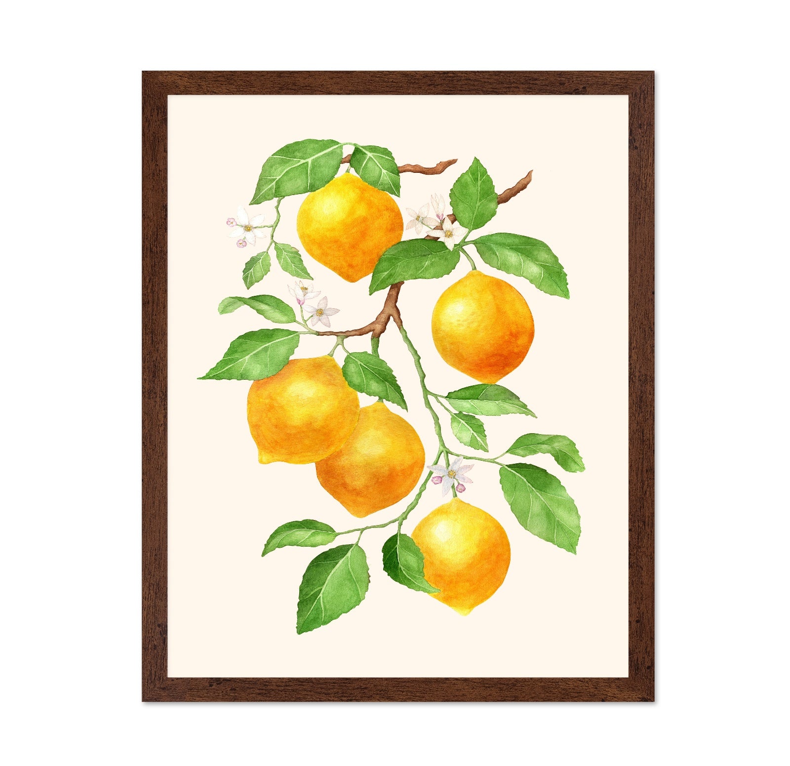 Lemon Branch Study No1