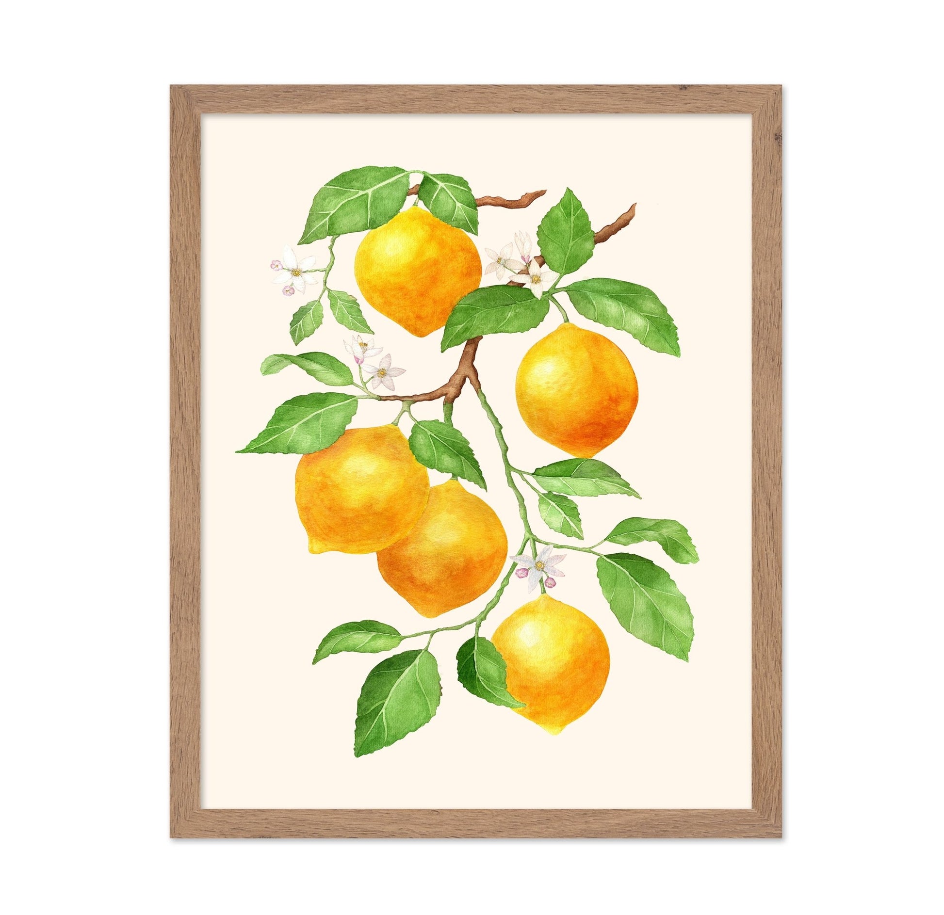 Lemon Branch Study No1