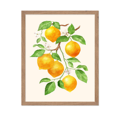 Lemon Branch Study No1