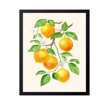 Lemon Branch Study No1