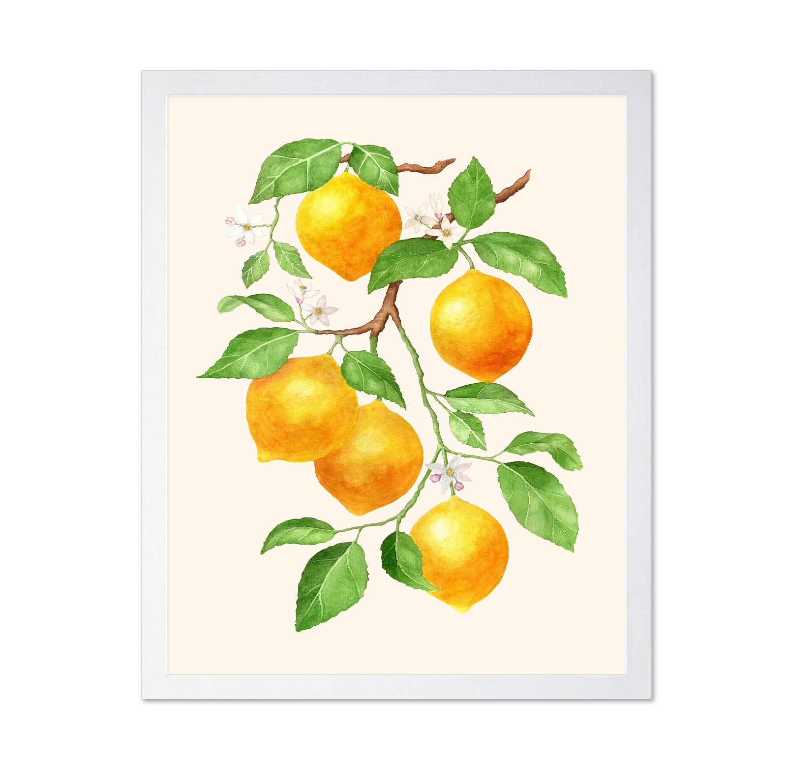 Lemon Branch Study No1