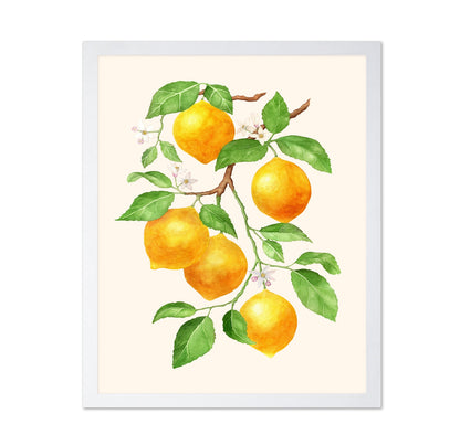 Lemon Branch Study No1