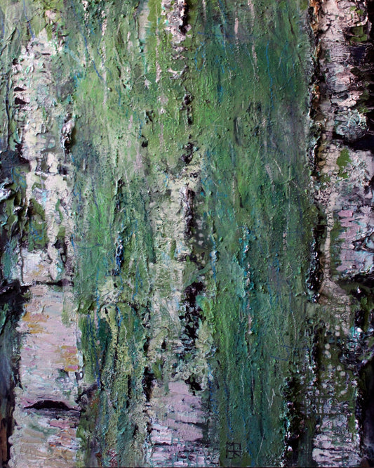 Textured Birch Forest