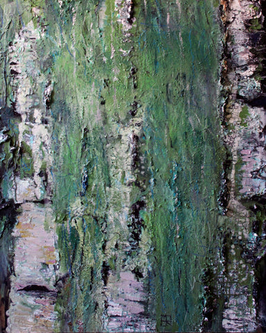 Textured Birch Forest