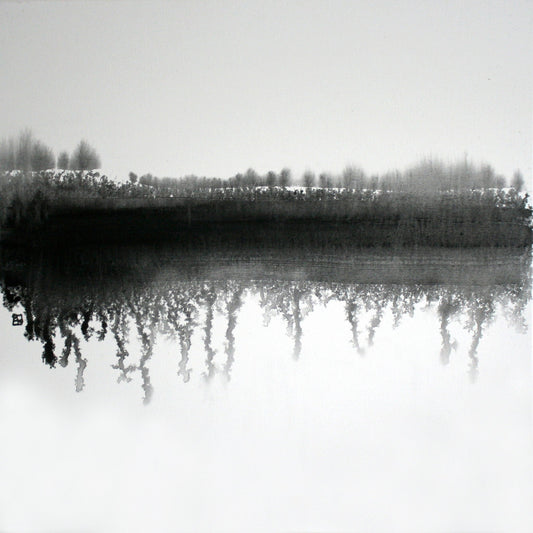 Silent Winter Reflection