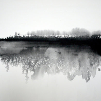 Misty Winter Reflection