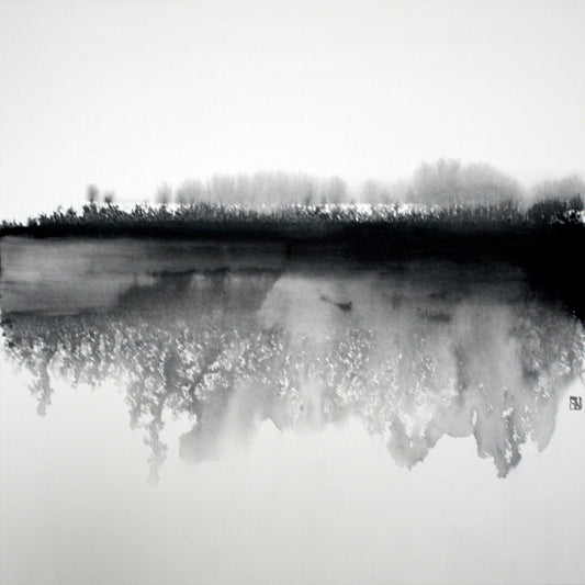 Misty Winter Reflection