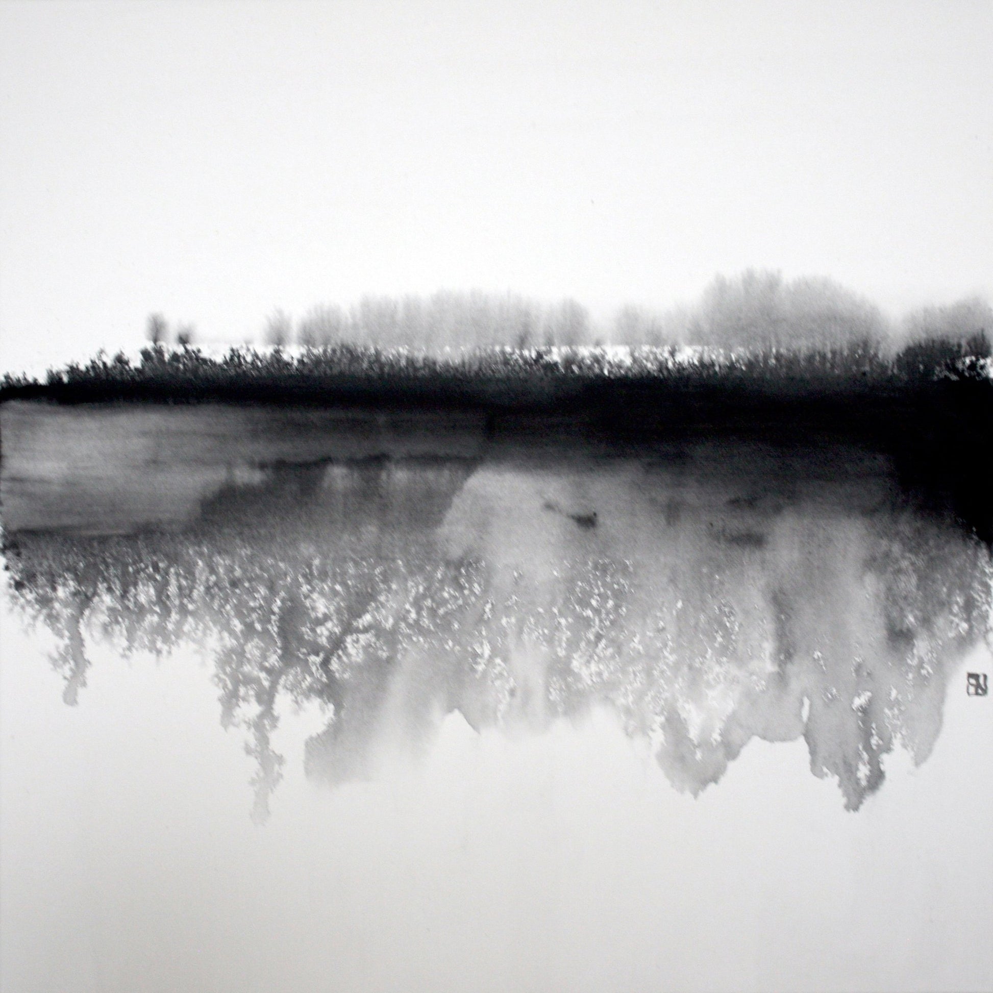 Misty Winter Reflection