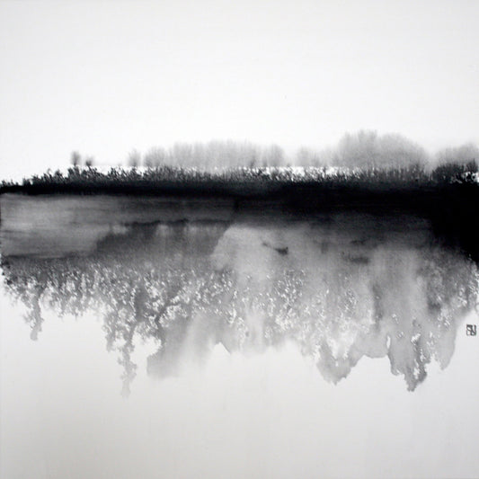 Misty Winter Reflection