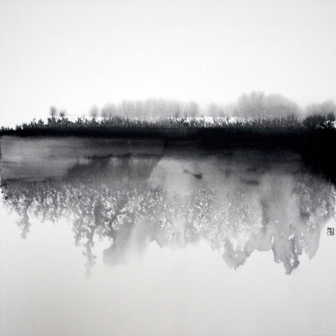 Misty Winter Reflection