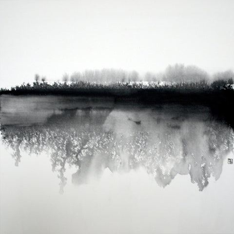 Misty Winter Reflection