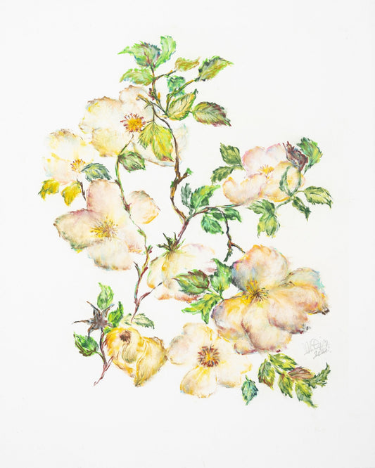Wild Rose Bloom