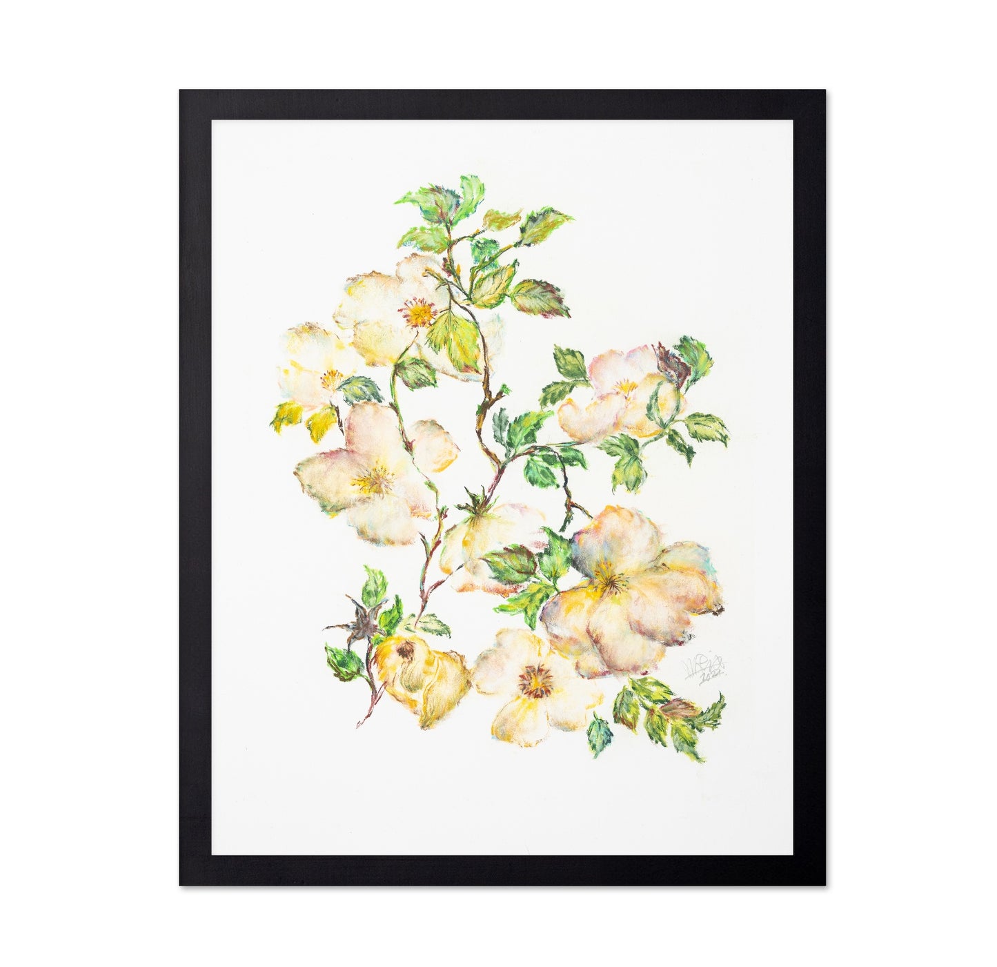 Wild Rose Bloom