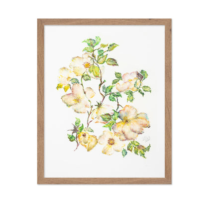 Wild Rose Bloom